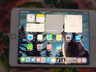 ipad mini 5 for sale . 64gb storage. .