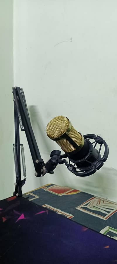 BM-800 Mic With Stand Podcast/Gaming Mic