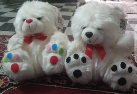 Withe color teddy bear 