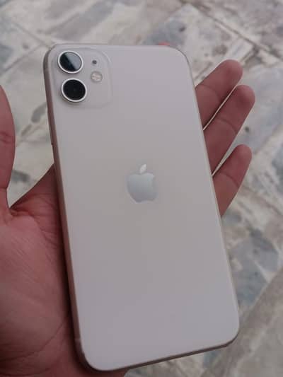 iPhone 11 PTA approved