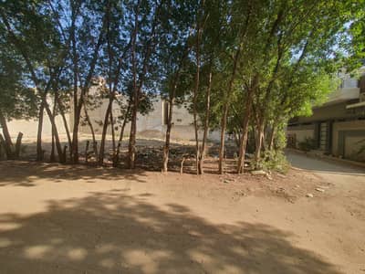 Corner Plot In Secror U Prime Sectpr For Living