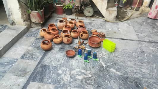 birds matqi for sale