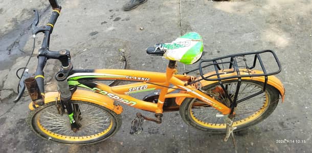 Classic Cycle for sale