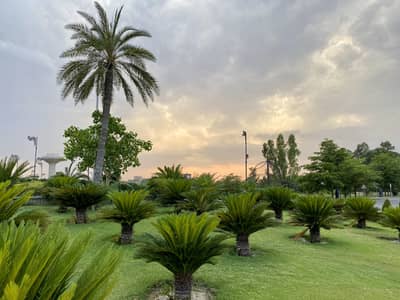 The Best 7 Marla Plot In Palm City - FACING PARK - WATERFALL - MASJID