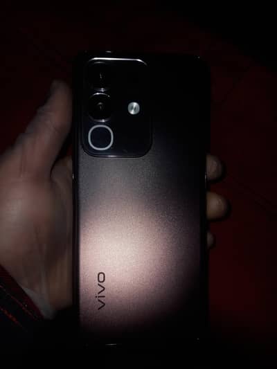 vivo y29 8-256