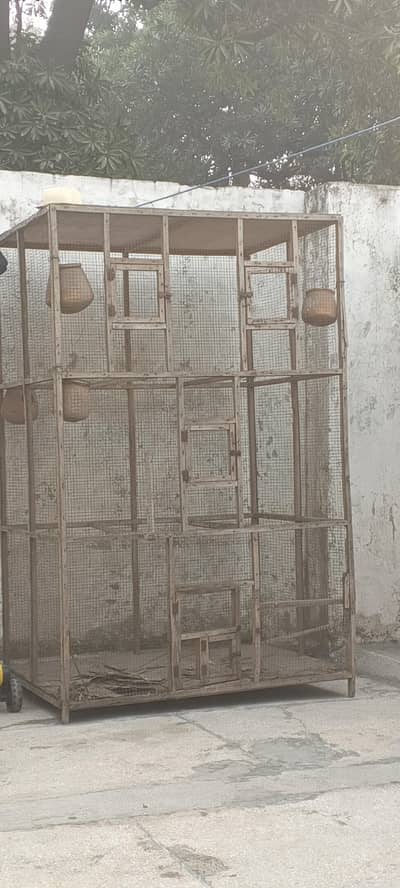 cage big