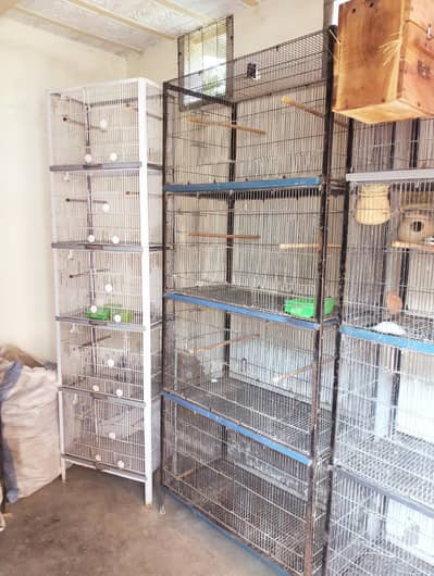 setup for sale cages box's pots sticks