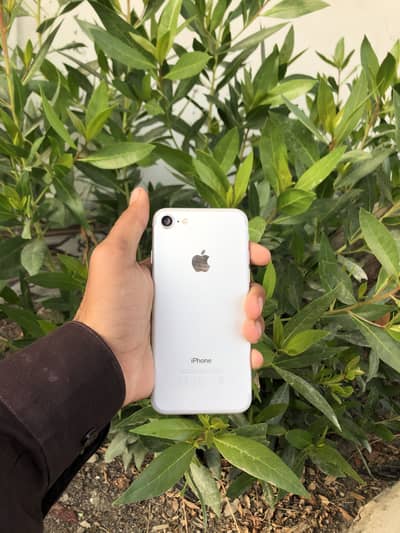 Iphone 7 pta approve