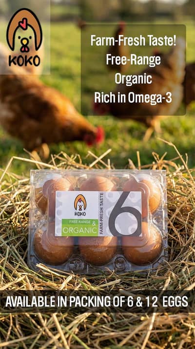 Lohman brown eggs/desi eggs