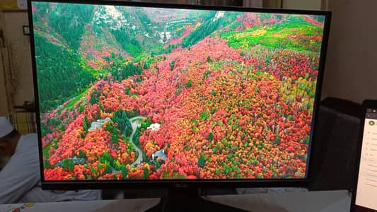 Dell LED Monitor