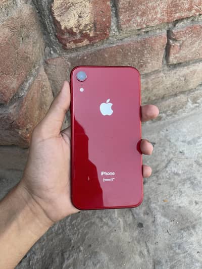 iPhone XR