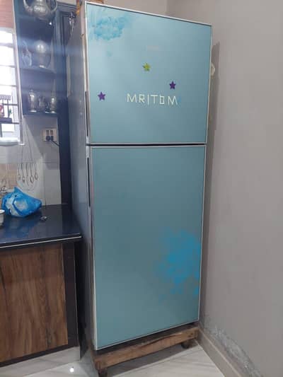 Haier Fridge Full size wide body