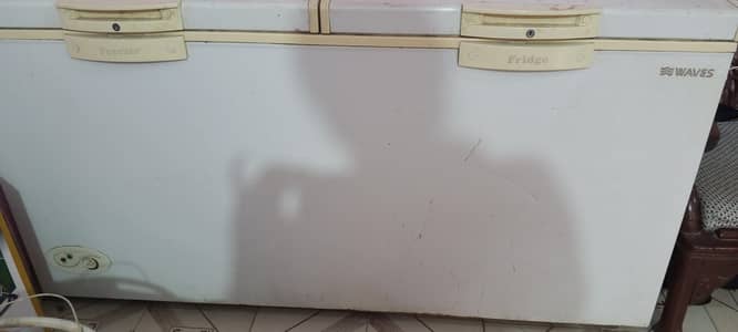 Waves Deep Freezer Double Door