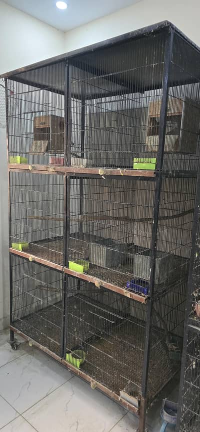 Love Bird/Raw/Grey Parrot Cage Available - 8 khnay/ 3 khanay