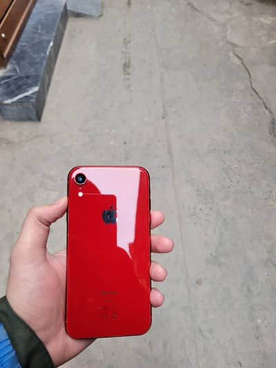 iPhone XR