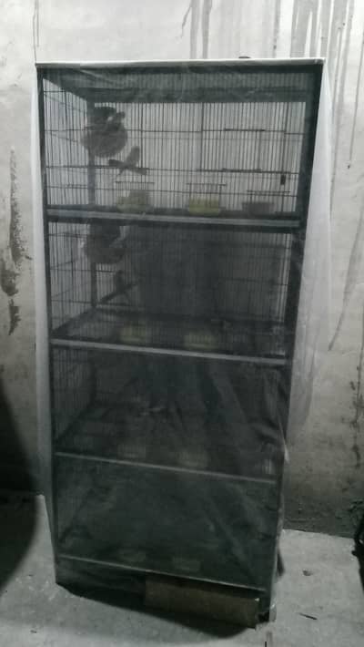 bird cage with budgie sale
