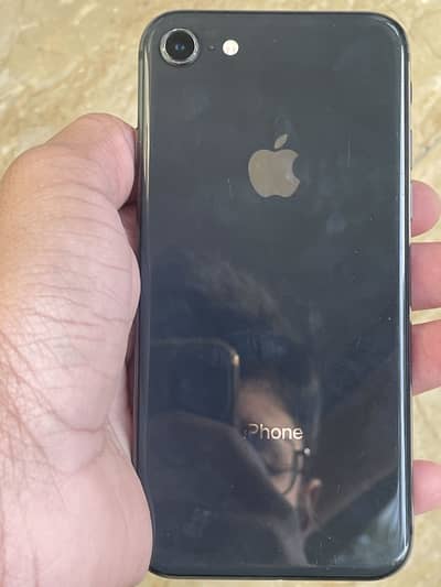 Iphone 8 pta approved