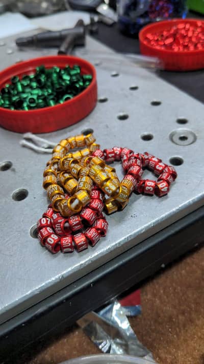 Birds Rings Love birds Rings