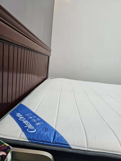 Master Celeste Divine Mattress (King Size 78x72)