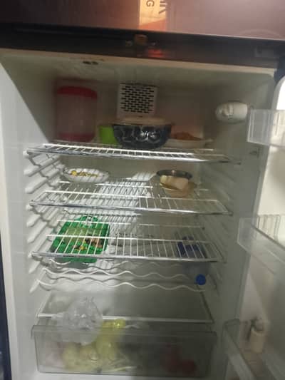 Refrigerator Glass door Changhong Ruba Full size