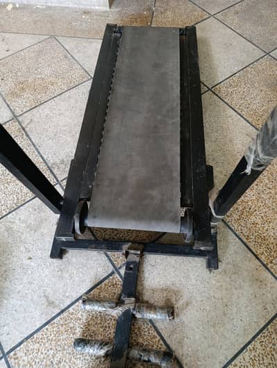 Treadmill with a twister