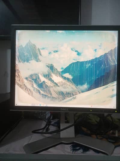 DELL LCD 19'' Inch For sell