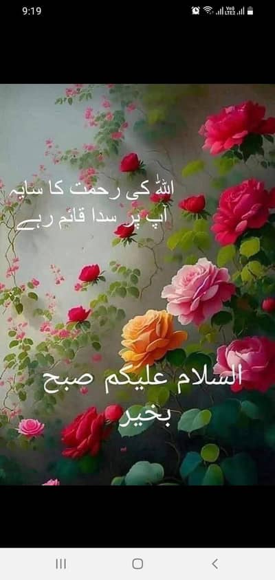 Any kind of propert work contect