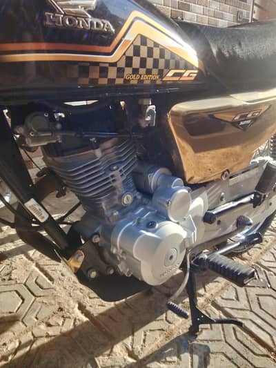 cg gold edition 2024 /2025