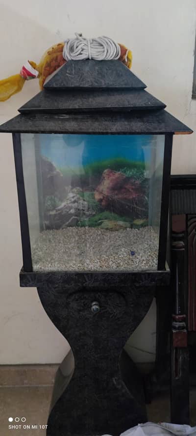 Fish Aquarium