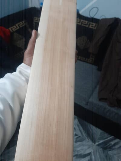 bat hard ball english willow