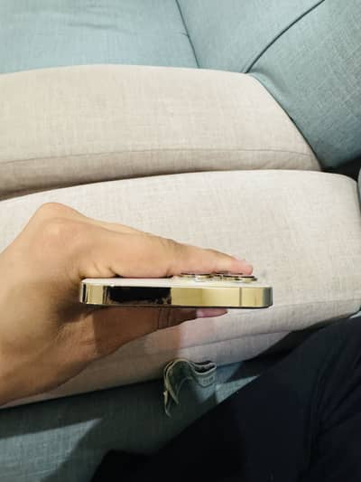 13 pro max PTA approved