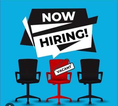 Business Development Executive