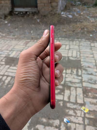 iphone se pta approve