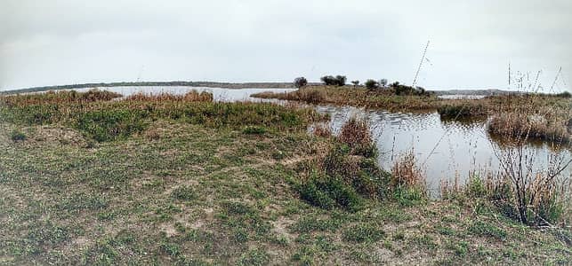 600 kanal farm house land for sale in balksar chakwal