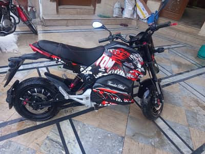 Thunder || Turbo Bird || Electric bike || Edition || Model 2024