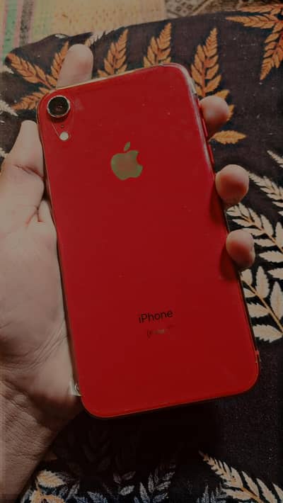 iphone XR 64 gb