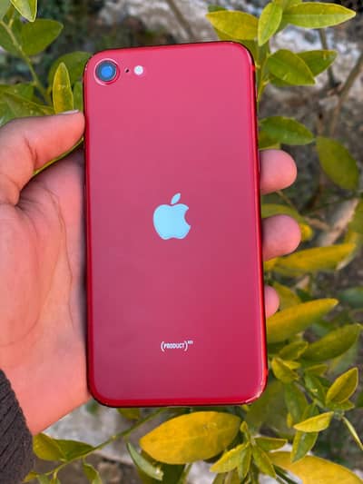 iphone se pta approve