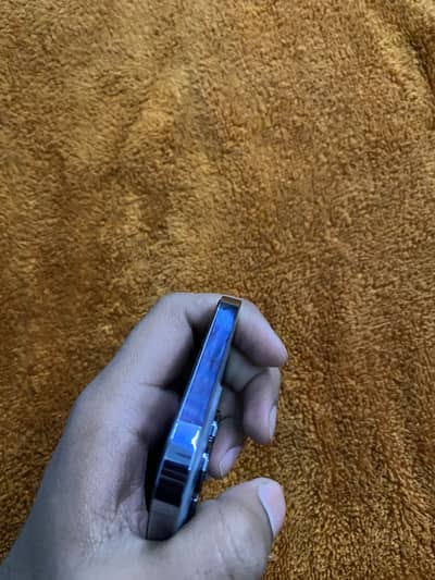 13 pro max dual official pta 256