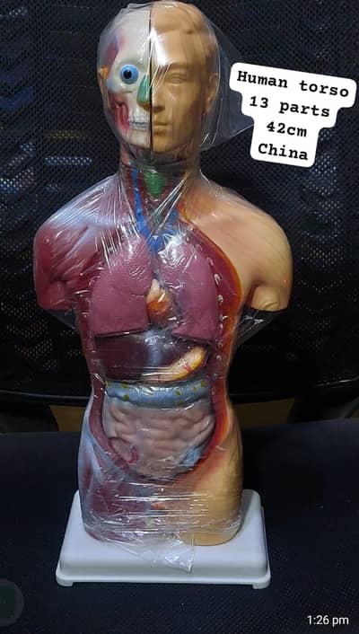 School & College Science Lab Equipment & Models for Sale