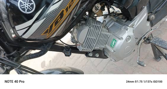 Yamaha YB 125Z-DX 2023