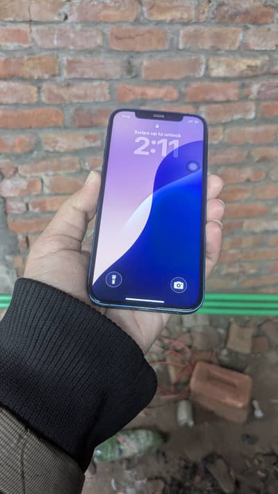 I phone 12 pta approved