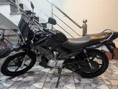 Yamaha YBR 125G – 2025 Model (Like Brand New)