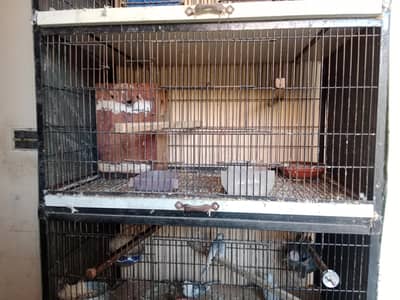 2 Cages For Sale 2 by 2 8 Portions aur 1.5 by 2.5 5 Portions