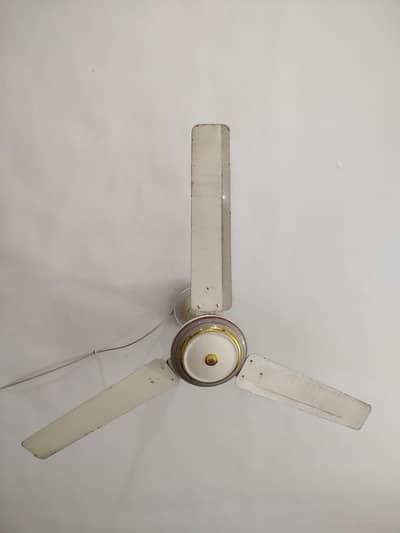 Ceiling fans