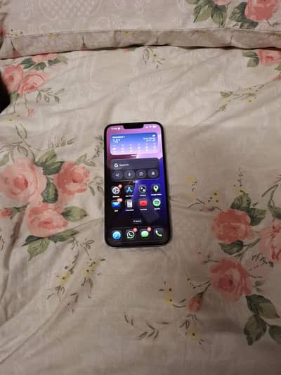 iPhone 13 Pro Max 256 GB