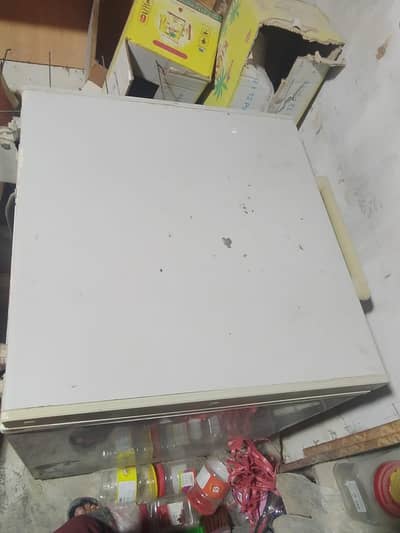 deep freeze single door