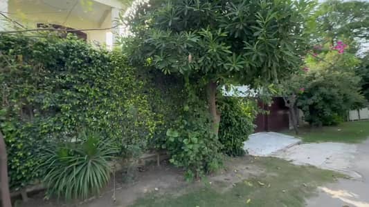 Plot Number Near 56 Premium Location