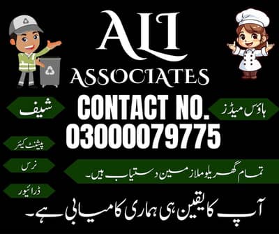 maid agency cook provider agency maid service