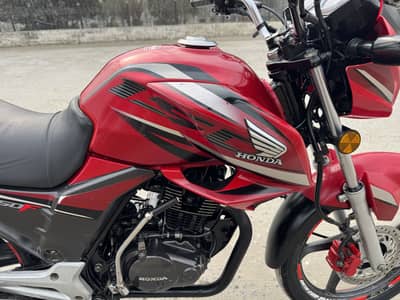 Golden number contact number 03129022938