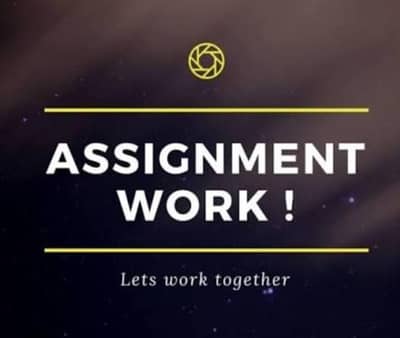 Assingment Writter